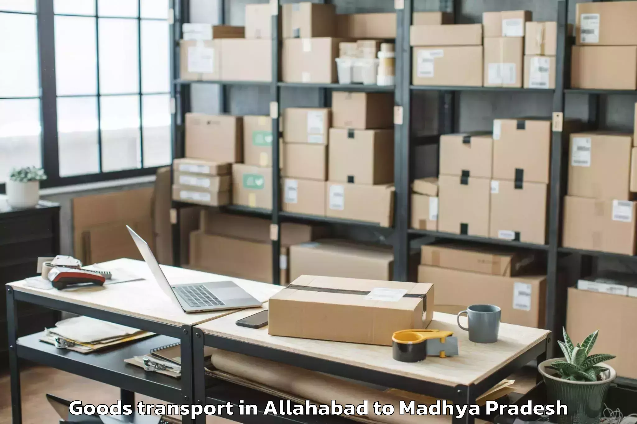 Quality Allahabad to Nasrullaganj Goods Transport